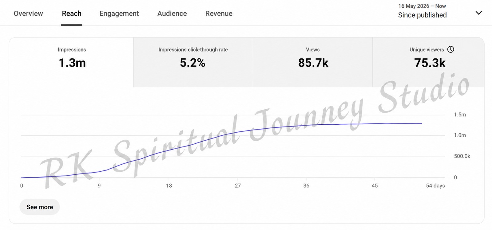 Real YouTube Analytics Proof